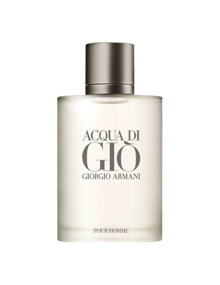 Armani Acqua di Giò Pour Homme EDT 100 ml | IdeaProfumi