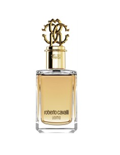 Roberto Cavalli Uomo Edt 100ml