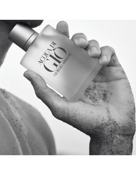 Armani Acqua di Giò Pour Homme EDT 100 ml | IdeaProfumi