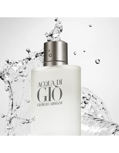 Armani Acqua di Giò Pour Homme EDT 100 ml | IdeaProfumi