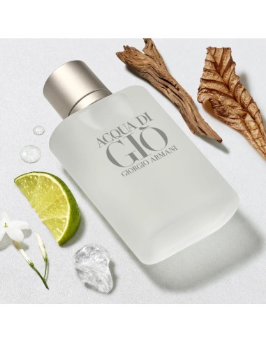 Armani Acqua di Giò Pour Homme EDT 100 ml | IdeaProfumi
