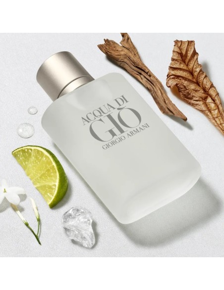 Armani Acqua di Giò Pour Homme EDT 100 ml | IdeaProfumi