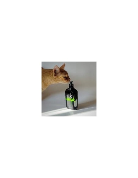 Calvin Klein CK One Shock For Him Eau De Toilette 200 ml (man)