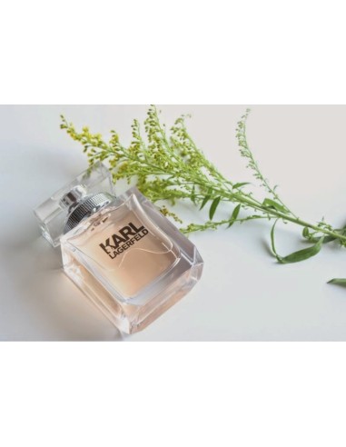 Karl Lagerfeld Karl Lagerfeld voor Haar Eau De Parfum 85 ml (vrouw)