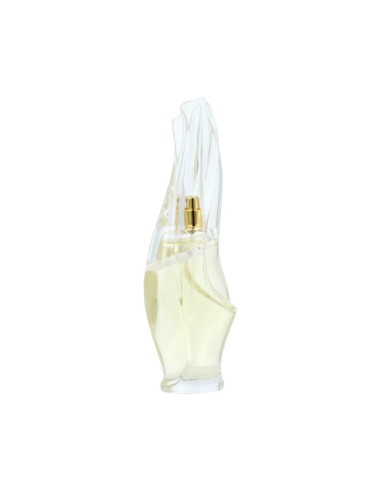 DKNY Donna Karan Cashmere Mist Eau De Parfum 100 ml (woman)