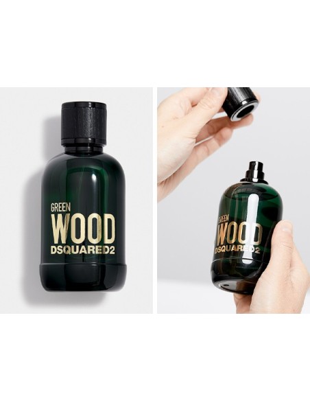 Dsquared2 Green Wood Pour Homme Eau de Toilette 100 ml - profumo uomo