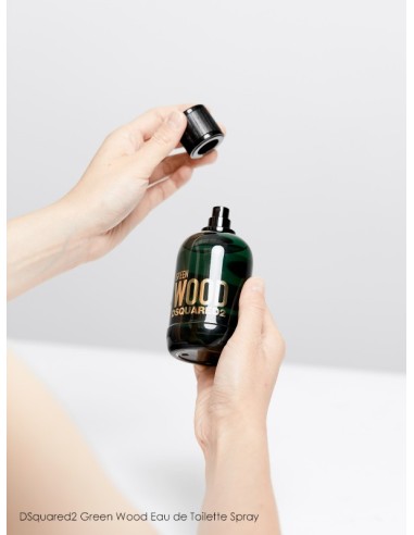 Dsquared2 Green Wood Eau De Toilette 100 ml (man)