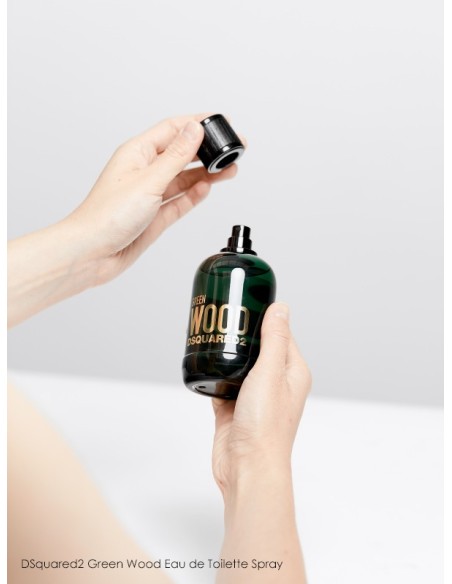 Dsquared2 Green Wood Eau De Toilette 100 ml (man)