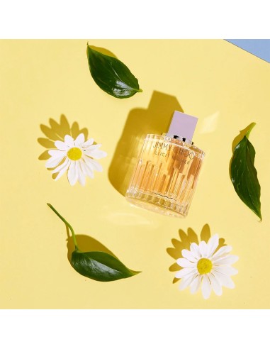 Jimmy Choo Illicit Eau De Parfum 100 ml (femme)