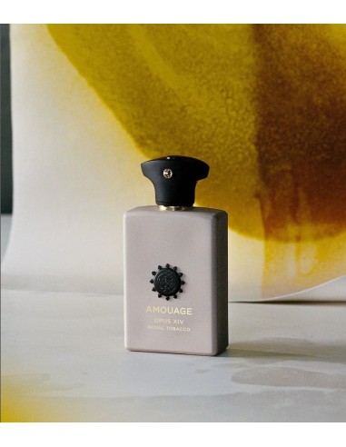 Amouage Opus XIV Royal Tobacco EDP 100 ml | IdeaProfumi