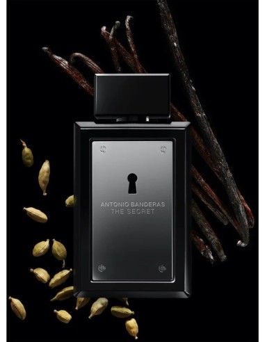 Banderas The Secret Eau De Toilette 100 ml (man)