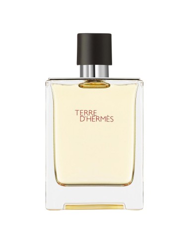 Hermès Terre D'hermès Eau De Toilette 100 Ml