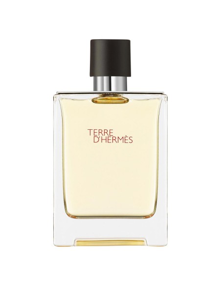 Hermès Terre D'hermès Eau De Toilette 100 Ml