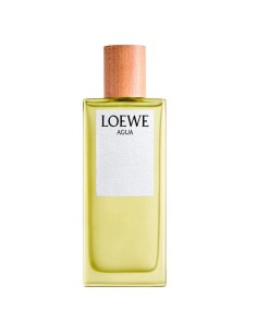 Loewe Agua De Loewe Eau De Toilette 100 Ml