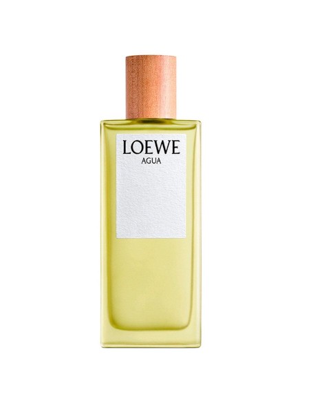 Loewe Agua De Loewe Eau De Toilette 100 Ml