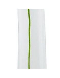 Kenzo Flower by Kenzo Eau De Parfum - tester 50 ml (woman)
