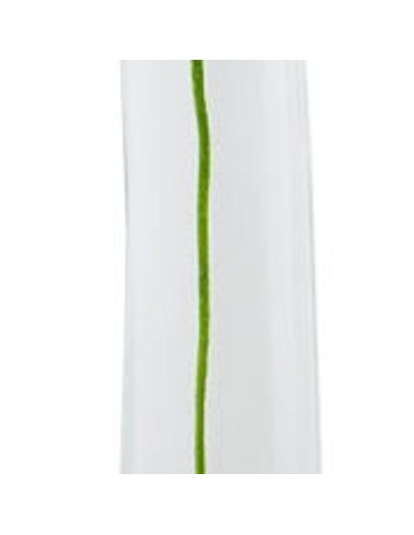 Kenzo Flower by Kenzo Eau De Parfum - tester 50 ml (woman)