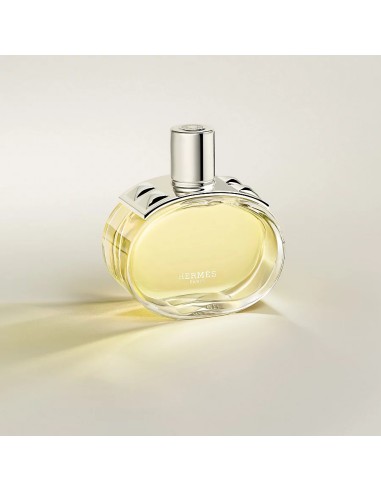 Hermès Barénia Eau De Parfum Rechargeable 100 ml (femme)