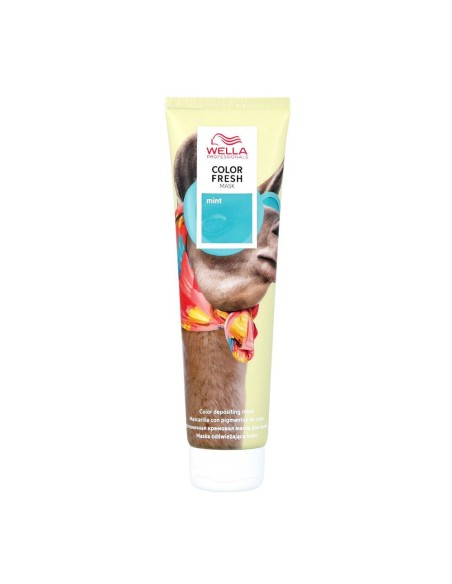 Wella Color Fresh Color Depositing Mask - Mint 150 ml