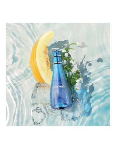 Davidoff Cool Water for Women Eau De Toilette 100 ml (Frau)