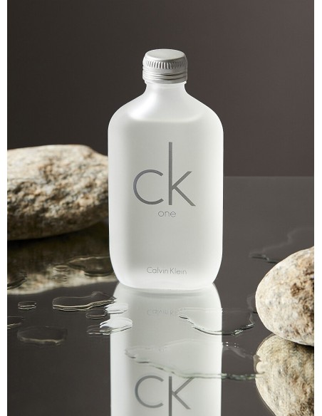 Calvin Klein CK One Eau De Toilette 100 ml (unisex)