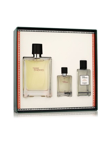 Hermès Terre D'Hermès EDT 100 ml + EDT 12.5 ml + AS 40 ml (man)