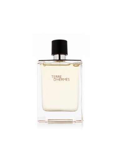Hermès Terre D'Hermès Eau De Toilette 100 ml (homme)