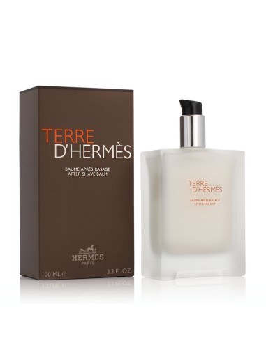 Hermès Terre D\'Hermès After Shave Balm 100 ml (herren)