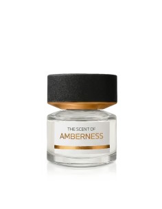 BMW Fragrances Amberness Eau De Parfum 50 ml (unisex) 2