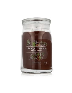 Yankee Candle Signature Scented Candle Praline & Birch 567 g
