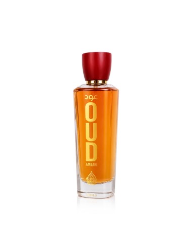 House of Perfumes Oud Ambari Eau De Parfum 100 ml (unisex)