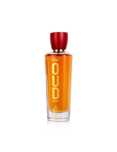 House of Perfumes Oud Ambari Eau De Parfum 100 ml (unisex)