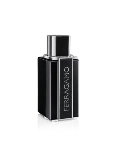 Ferragamo Sublime Leather Eau De Parfum Intense 100 ml (Herren) 2