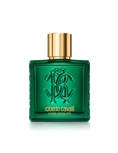 Roberto Cavalli Uomo Verde Assoluto Eau De Parfum 100 ml (man)