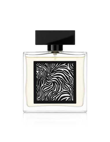 Fragrance World Encrypt Eau De Parfum 85 ml (man)
