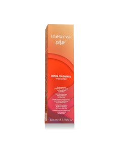 Inebrya Color Natural Intense (6/00 Dark Intense Blonde) 100 ml