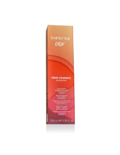 Inebrya Color Ash (9/1 Very Light Blonde Ash) 100 ml