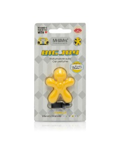 Mr & Mrs Fragrance Big Joy Vanilla Car Scents 1 pcs