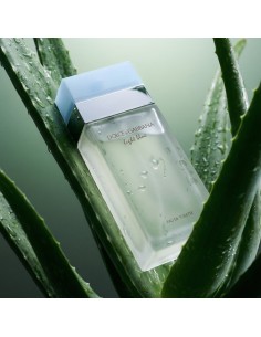 Dolce & Gabbana Light Blue Eau De Toilette 50 ml (mujer) 2