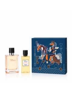 Hermès Terre D'Hermès EDT 100 ml + SG for Body & Hair 80 ml (man)